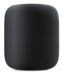 Apple HomePod - Space Gray (MQHW2)