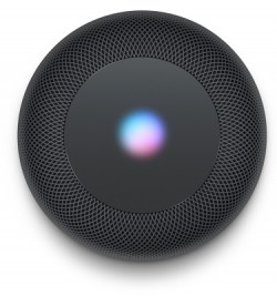 Apple HomePod - Space Gray (MQHW2)