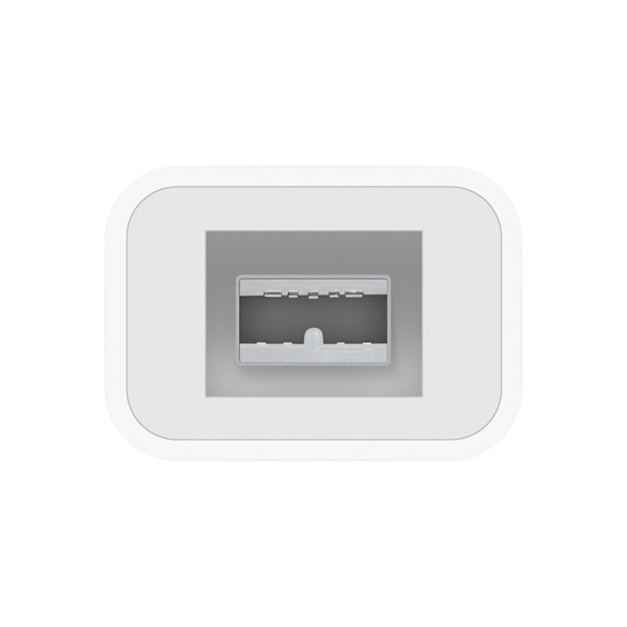 Apple Thunderbolt to FireWire Adapter