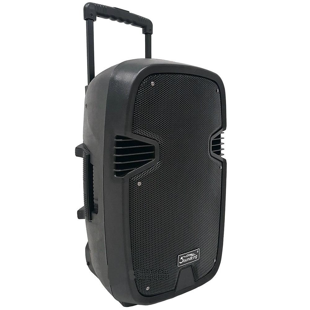 SOUNDKING LS331