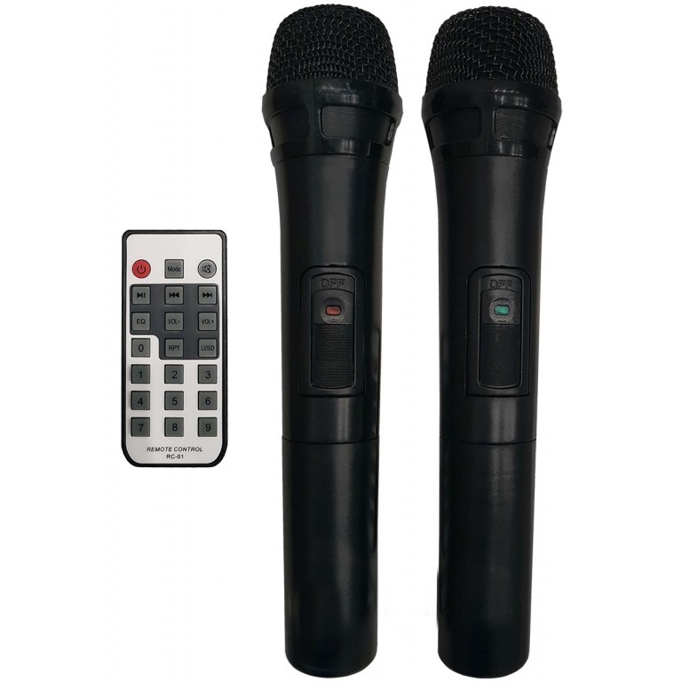 SOUNDKING LS331