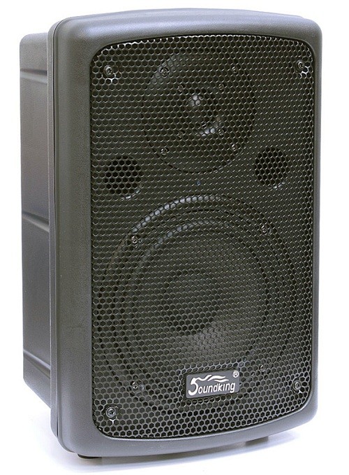SOUNDKING FP208A