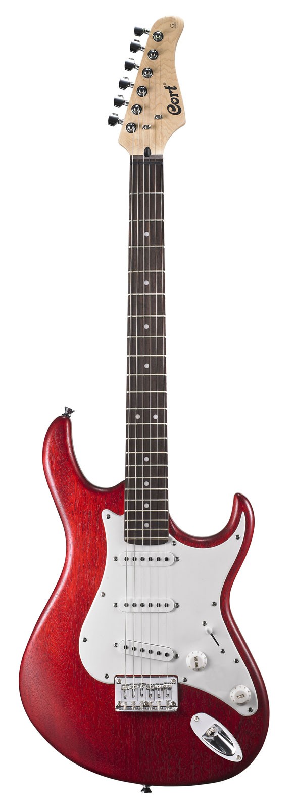 CORT G100 (Open Pore Black Cherry)