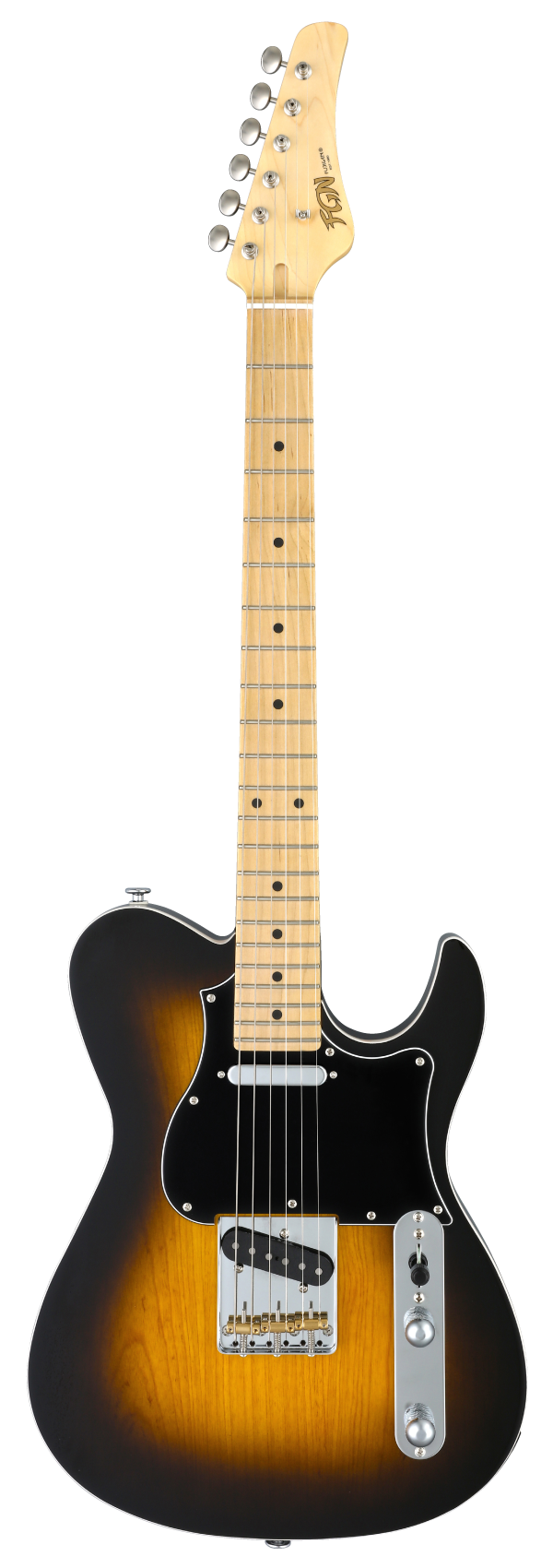 FUJIGEN JIL2-ASH-M Iliad J-Standard (2-Tone Sunburst)