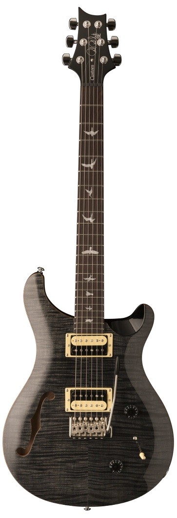 PRS SE Custom 22 Semi-Hollow (Gray Balck)