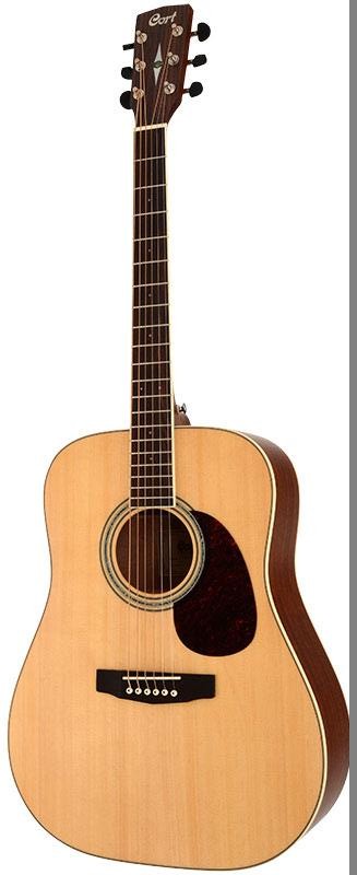 CORT EARTH 100 (Natural Satin)