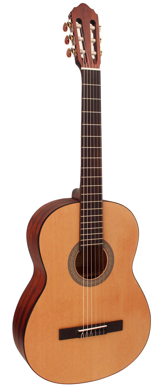 CORT AC100DX (Open Pore)
