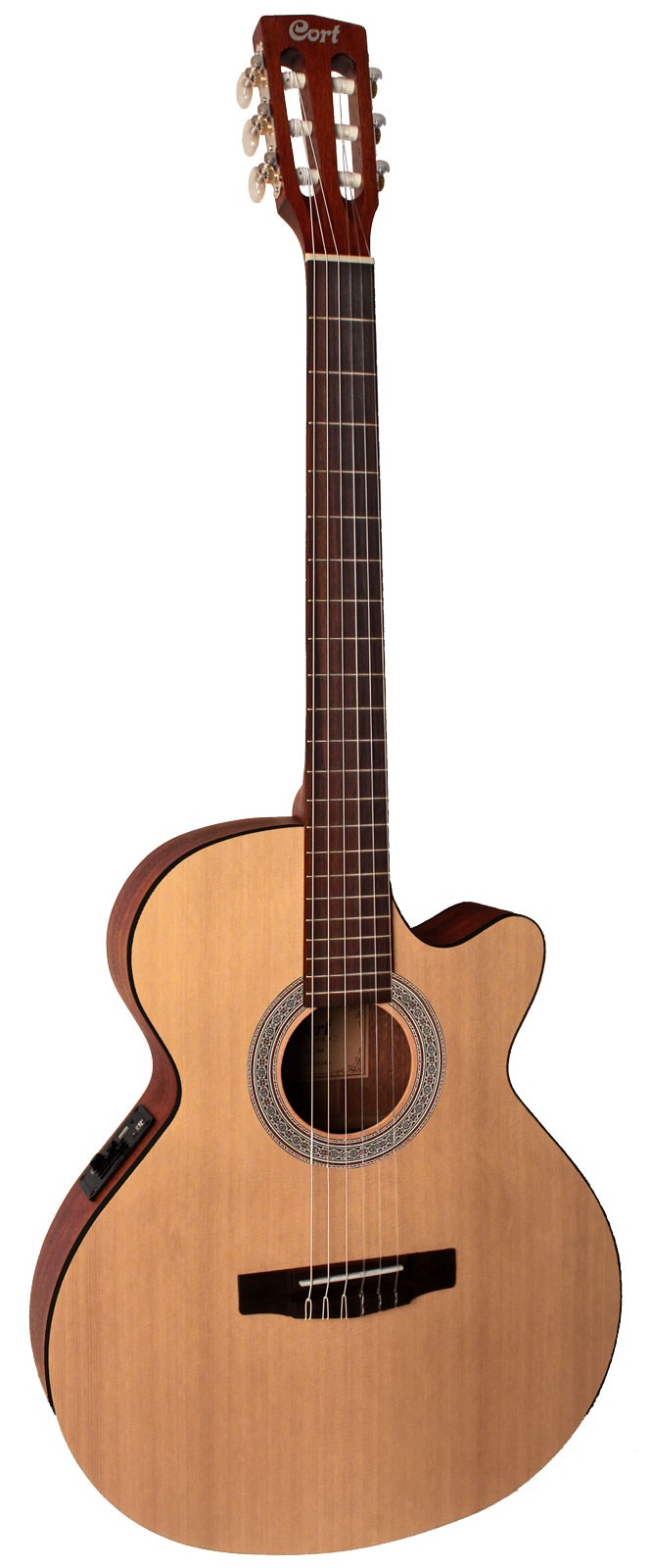 CORT CEC1 (Open Pore)