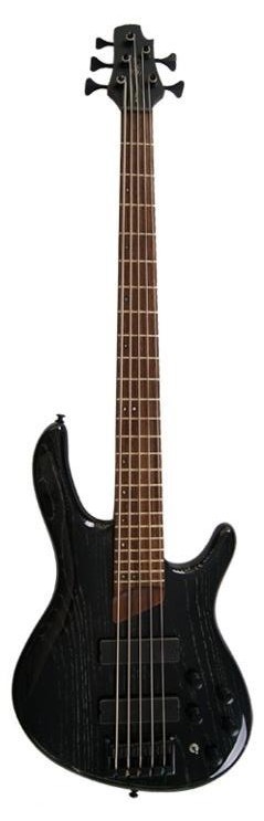 CORT B5 20th Anniversary (Black Exotic)