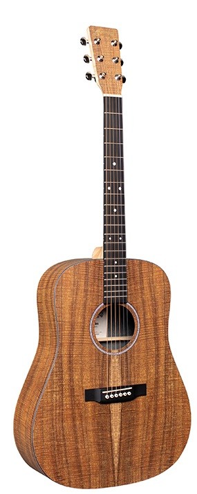 MARTIN D-X1E Koa