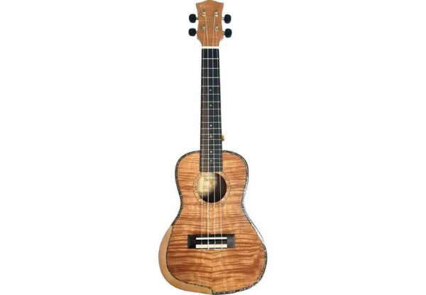 PARKSONS UK24MS