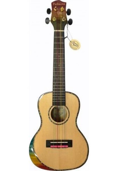 PARKSONS UK24EM