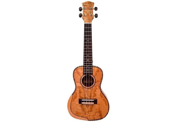 PARKSONS UK24FS
