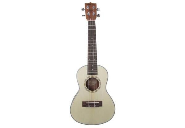 PARKSONS UK24C