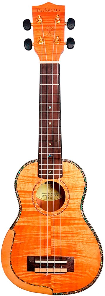 PARKSONS UK21MS