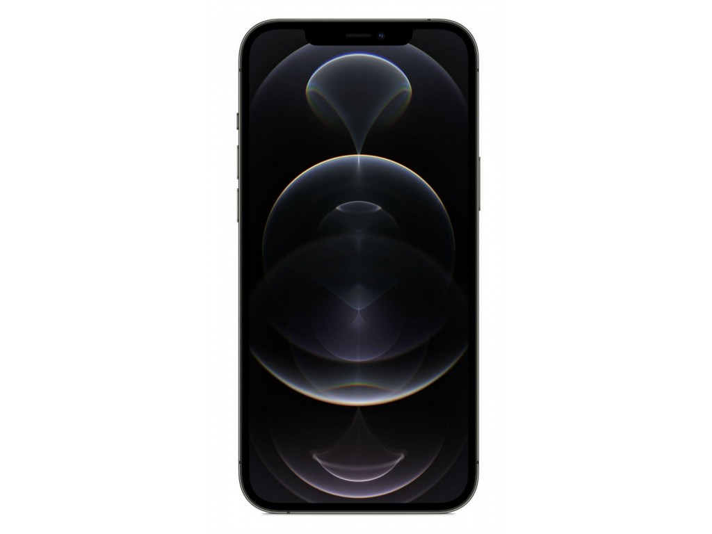 iPhone 12 Pro Max 256Gb (Graphite) (MGDC3)