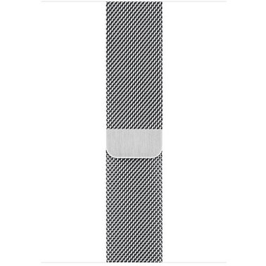 Apple Watch Series 6 LTE 40mm Silver Stainless Steel Case with Silver Milanese Loop (M02V3 / M06U3)