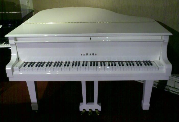 YAMAHA C1 (PWH)