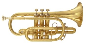 MAXTONE TCC53L