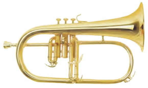 MAXTONE TFC51LM
