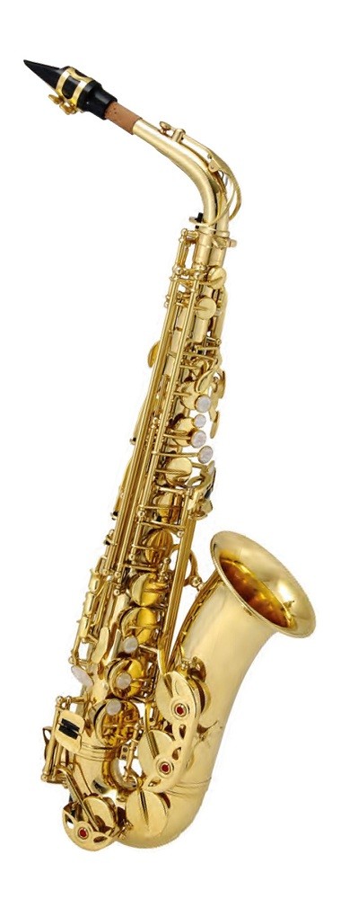 MAXTONE SXC51 A/L