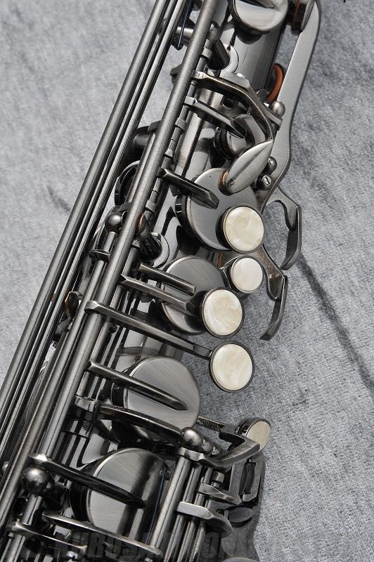 J.MICHAEL AL-980GML (S) Alto Saxophone