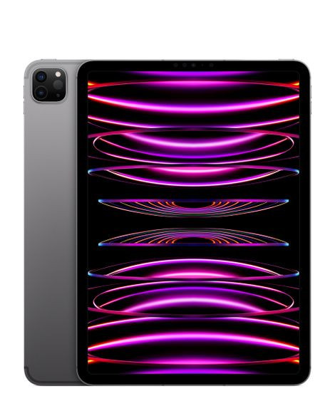 iPad Pro 11" Wi-Fi+Cellular 1TB Space Gray 2022 (MP5E3)