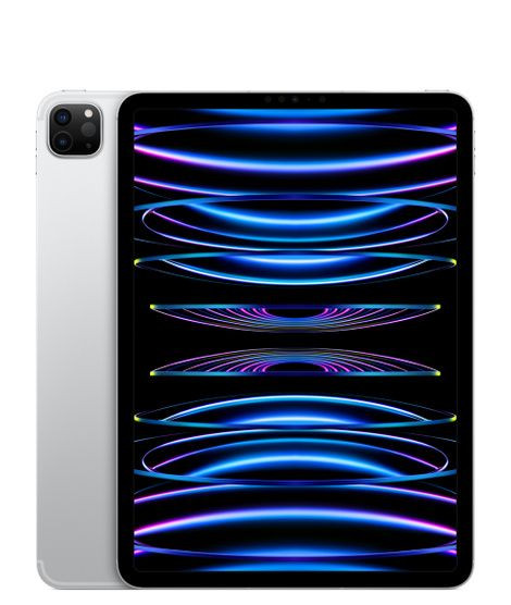 iPad Pro 11" Wi-Fi+Cellular 1TB Silver 2022 (MP5F3)