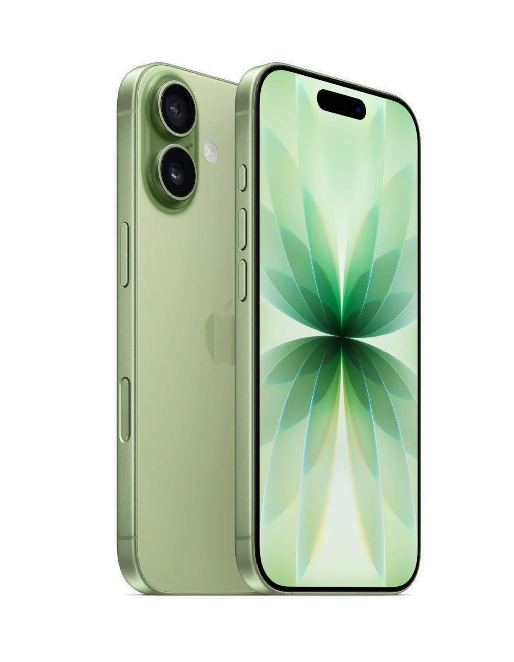 iPhone 17 512Gb Sage (MG6V4)