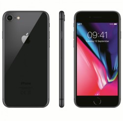 Apple iPhone 8 256Gb Space Gray (MQ7F2)