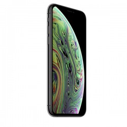 Apple iPhone Xs Max  64 Gb Space Gray Dual SIM  (MT712)