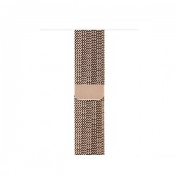 Apple Watch Series 5 LTE 40mm Gold Steel w. Gold Milanese Loop - Gold Steel (MWWV2)