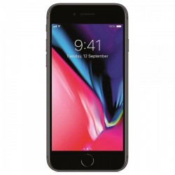 Apple iPhone 8 256Gb Space Gray (MQ7F2)