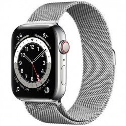 Apple Watch Series 6 LTE 40mm Silver Stainless Steel Case with Silver Milanese Loop (M02V3 / M06U3)