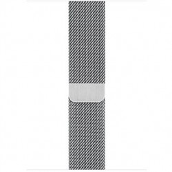 Apple Watch Series 6 LTE 40mm Silver Stainless Steel Case with Silver Milanese Loop (M02V3 / M06U3)