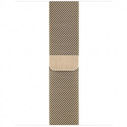  Apple Watch Series 6 LTE 40mm Gold Stainless Steel Case with Gold Milanese Loop (M02X3)