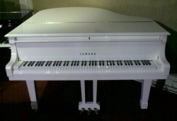 YAMAHA C1 (PWH)