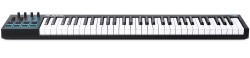 ALESIS V61