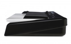 ALESIS Q25