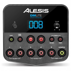 ALESIS DM LITE KIT