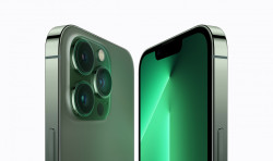 iPhone 13 Pro Max 1Tb (Alpine Green) (MNCT3)